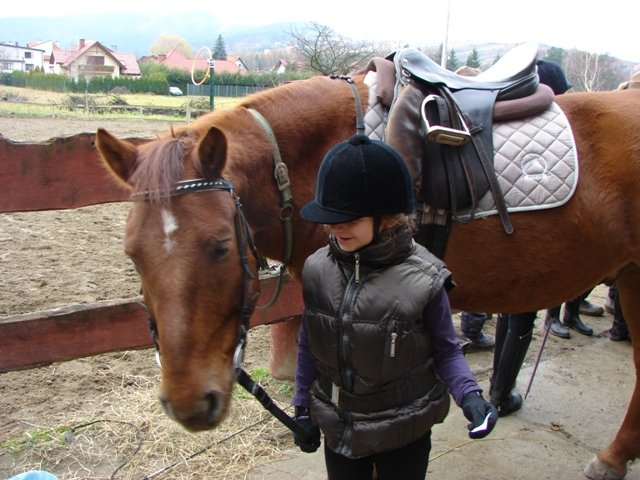 Hubertus 2010